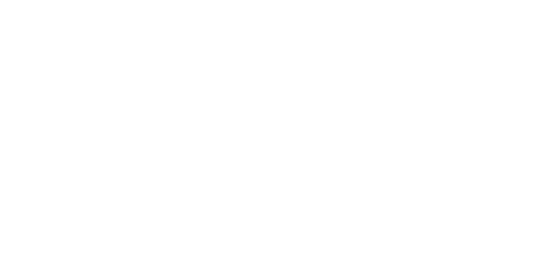 Post Doc Development Committee